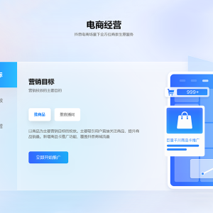 电商经营